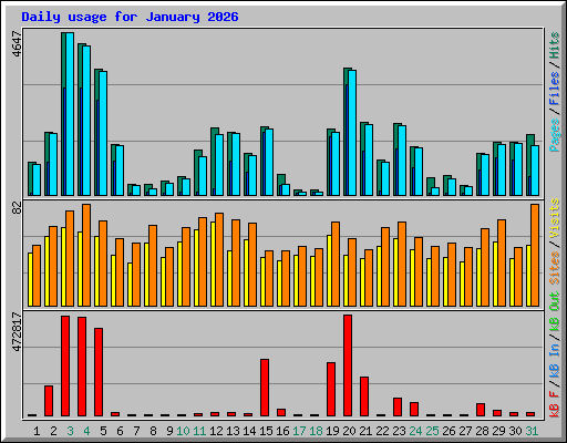 Daily usage for January 2026