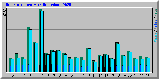 Hourly usage for December 2025
