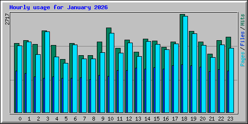 Hourly usage for January 2026