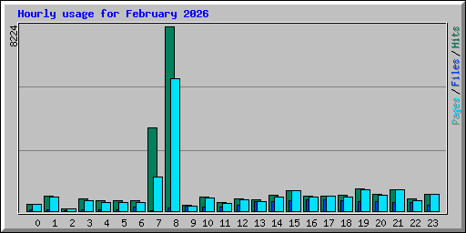 Hourly usage for February 2026